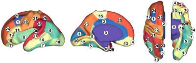 Automatic cortical surface parcellation in the fetal brain using attention-gated spherical U-net